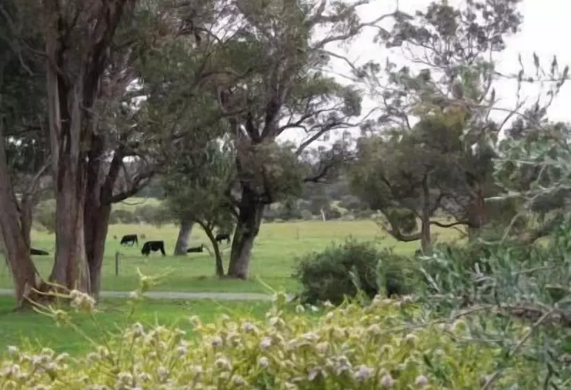 Woody Grange Chalets