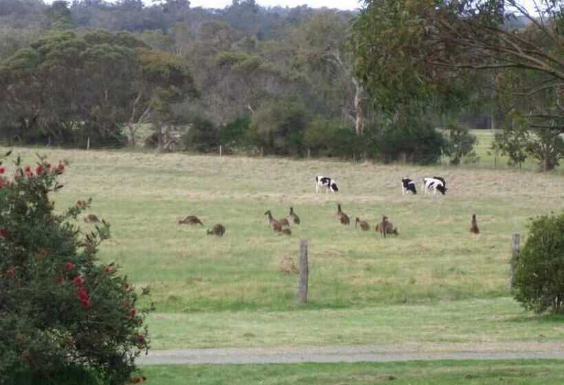 Woody Grange Chalets