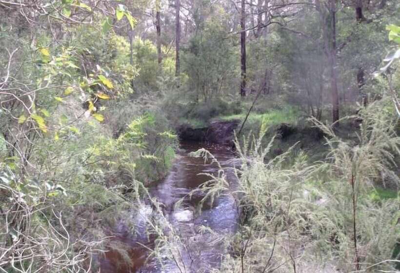 Woody Grange Chalets