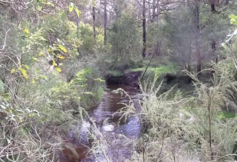 Woody Grange Chalets