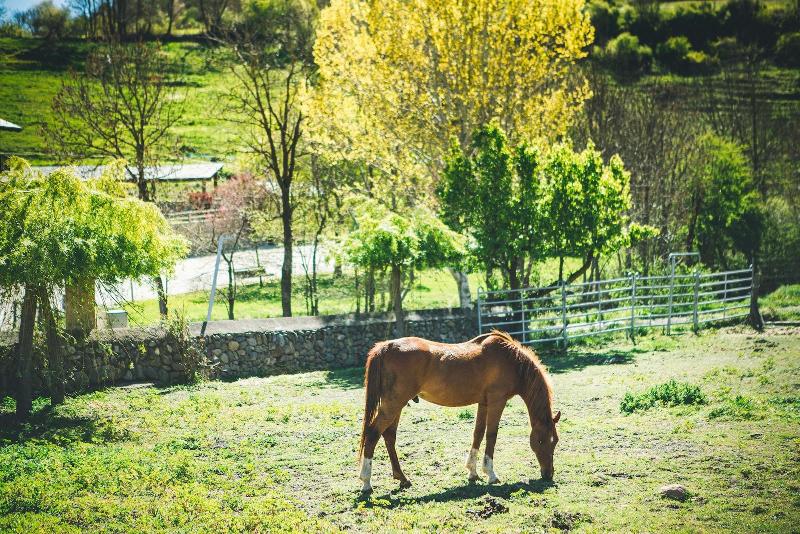 Intrepid Hotel Rural