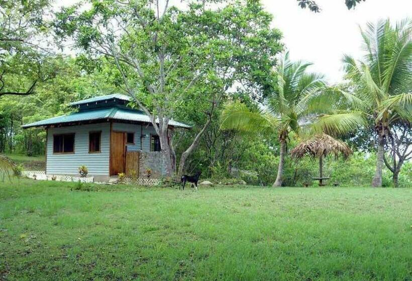 Общежитие Windows At The Sea