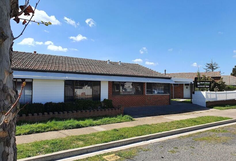 Black Sheep Motel Goulburn