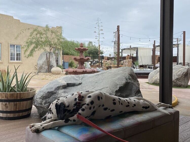 בית מלון כפרי Mi Kasa Hot Springs 420,adults Only, Clothing Optional