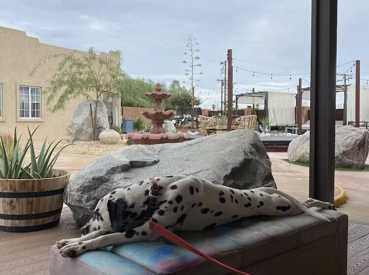 Hotelli Mi Kasa Hot Springs 420,adults Only, Clothing Optional