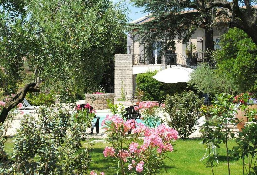 ベッドアンドブレックファースト Terre De Bacchus