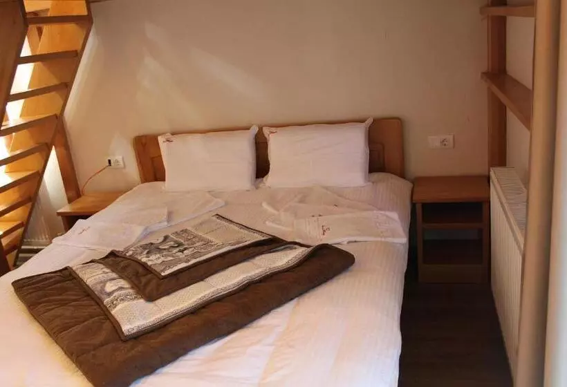 تختخواب و صبحانه Vila Madera Pribojska Banja