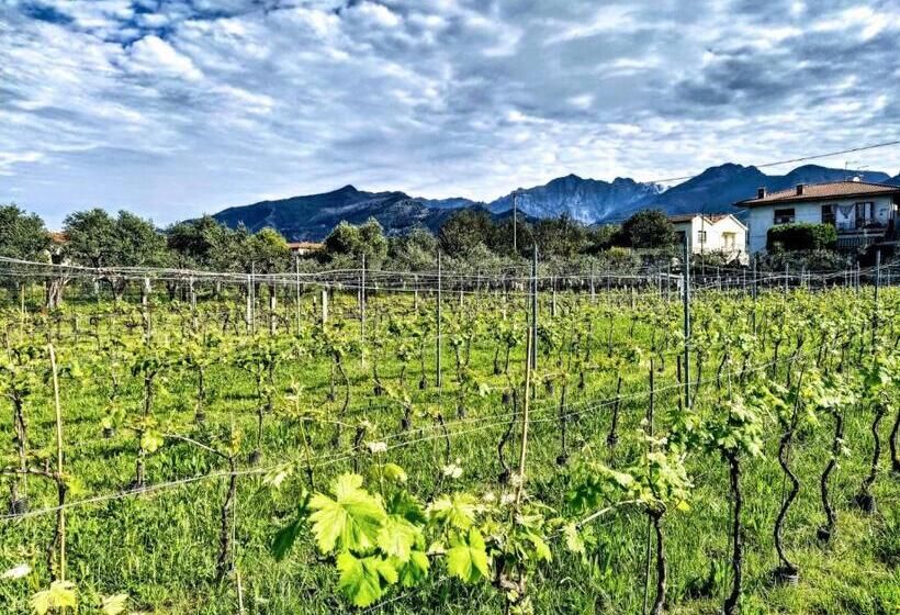 ホテル Agriturismo La Vite Maritata