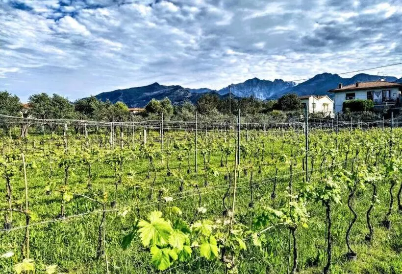 هتل Agriturismo La Vite Maritata