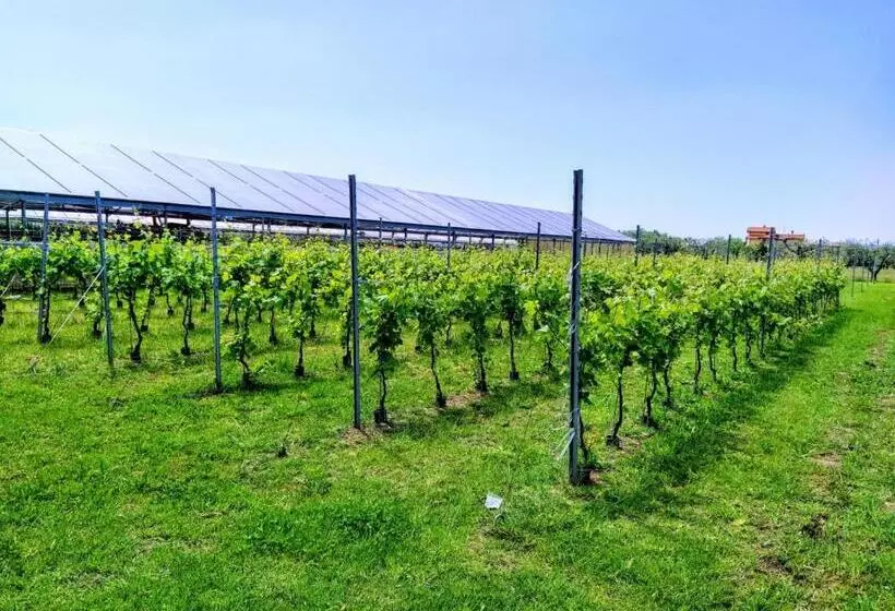 هتل Agriturismo La Vite Maritata