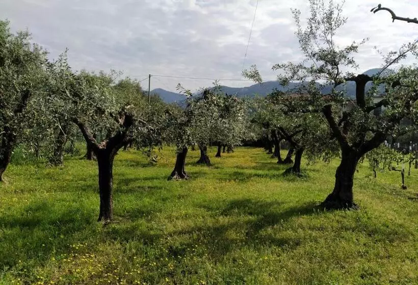 هتل Agriturismo La Vite Maritata