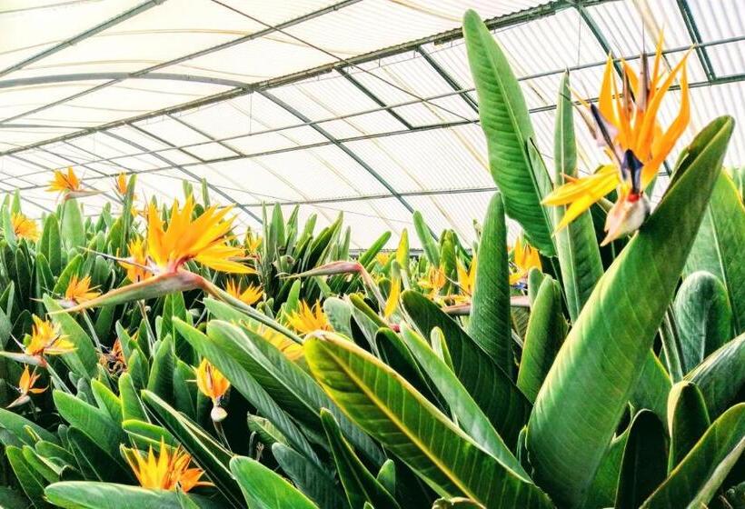 ホテル Agriturismo La Vite Maritata