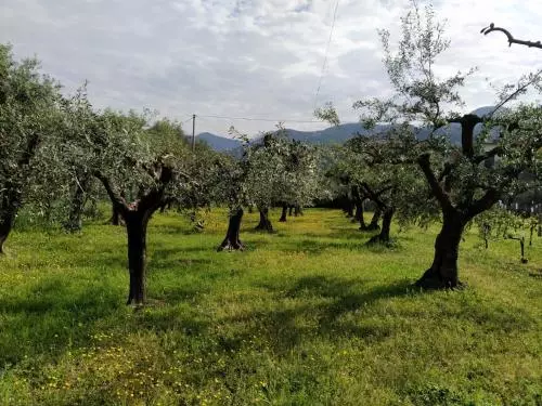 هتل Agriturismo La Vite Maritata