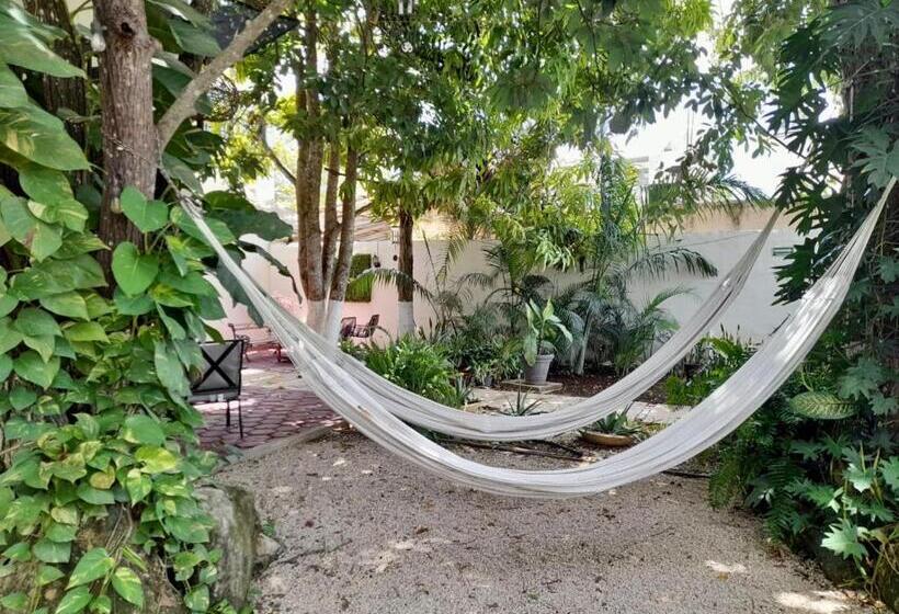 هتل Maalob Che Bacalar By Rotamundos