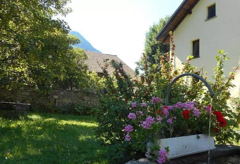 Dazio Grande B&b