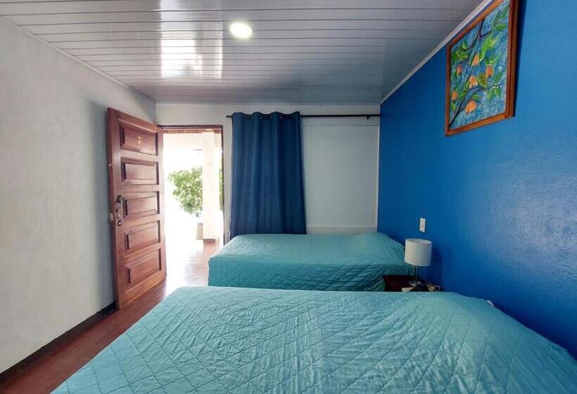 هتل Hôtel Pez Gallo