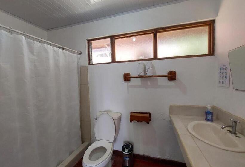 هتل Hôtel Pez Gallo