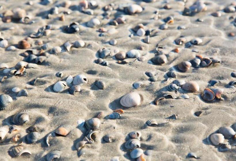 تختخواب و صبحانه Inselhotel Cornelius