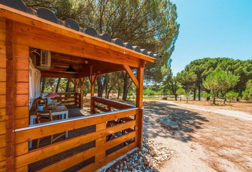 Отель Chalet Do Lago