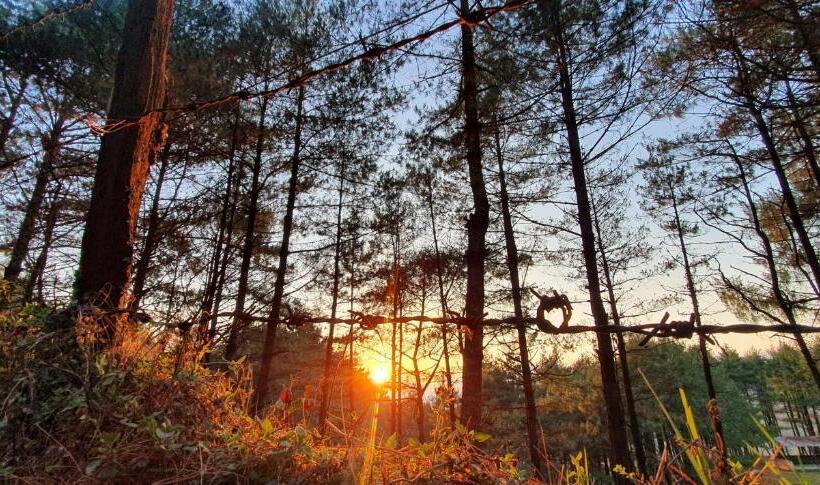 هتل Nagarkotfoodhome