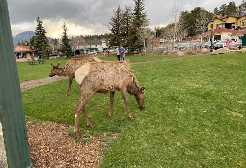 בית מלון כפרי Blue Door Inn