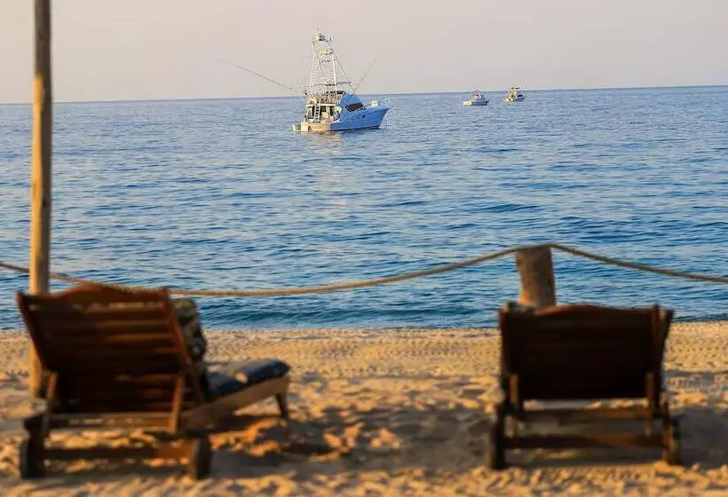 호텔 Buena Vista Oceanfront & Hot Springs Resort