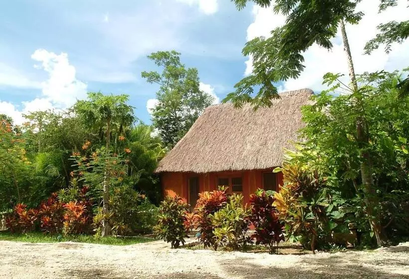 酒店 Hacienda San Jose Cholul