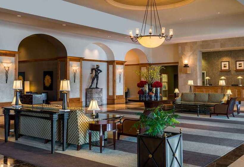 فندق Hilton Santa Clara