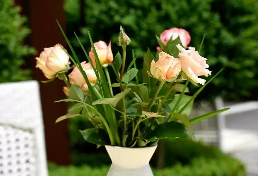 Отель Katharina Garni