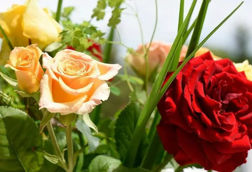 Отель Katharina Garni