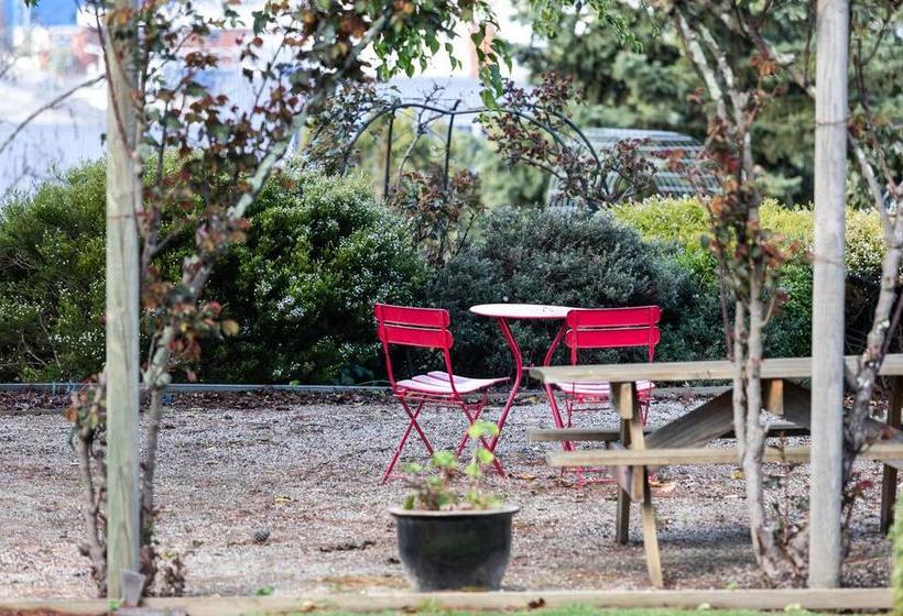 فندق The Dragonfly Inn