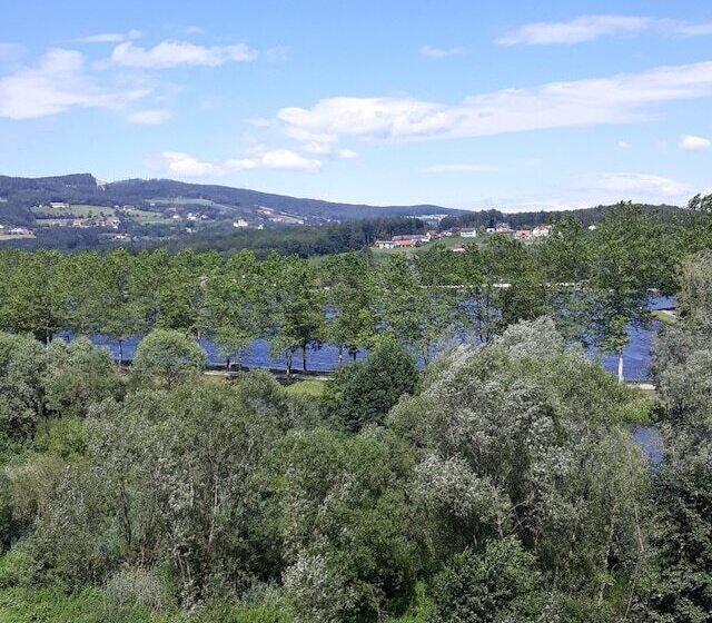 호텔 Gasthof Pension Waldhof