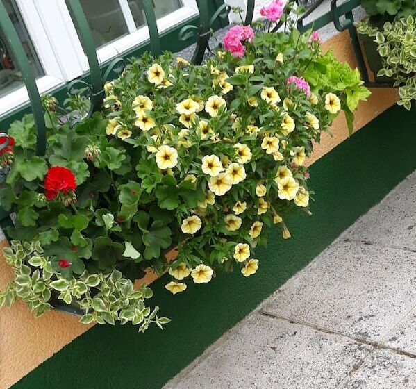 호텔 Gasthof Pension Waldhof