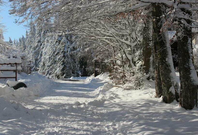 فندق Waldgasthaus Am Schwarzenbruch