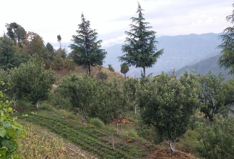 צימר Rosewood Estate