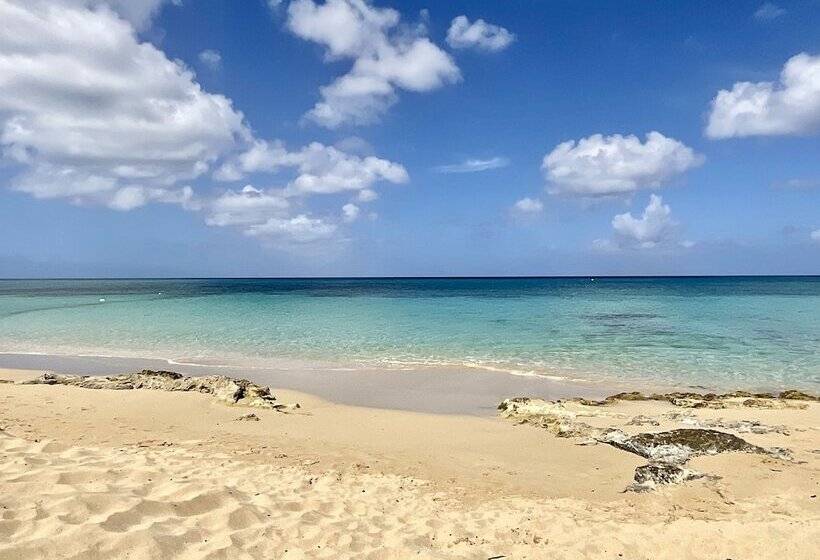 هتل The Frederiksted