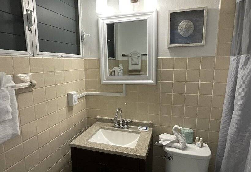 هتل The Frederiksted