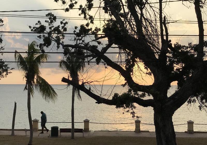 هتل The Frederiksted