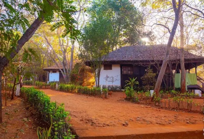 استراحتگاه Olympe De Bemaraha