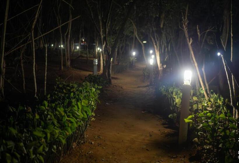 استراحتگاه Olympe De Bemaraha