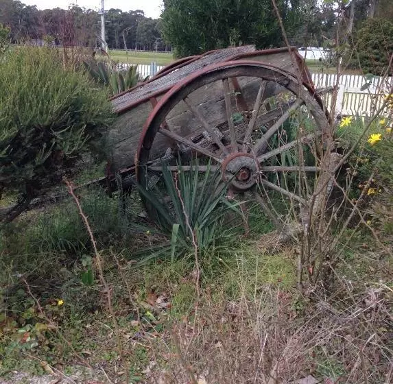Snowy River Lodge Motel