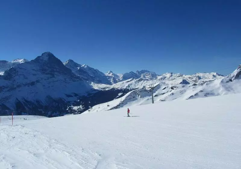 בית מלון כפרי Alpenhof