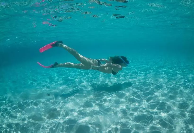 ホテル Arajilla Retreat