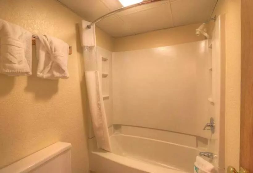 Otel Days Inn By Wyndham Pigeon Forge South