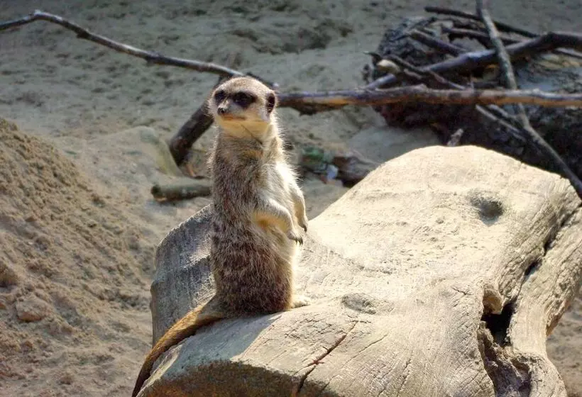 ホテル Ibis Styles Lille Centre Grand Place