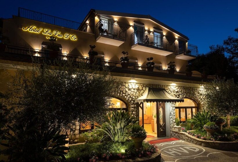 فندق La Vue D'or