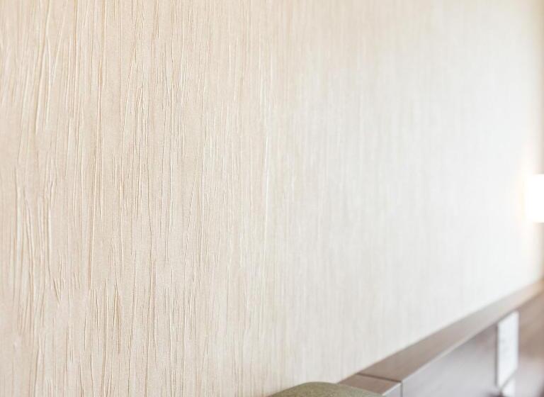 Super Hotel Joetsumyokoeki Nishiguchi