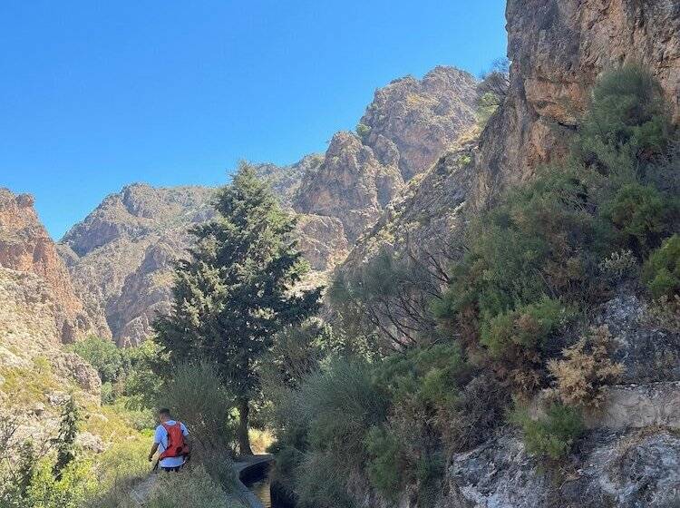 住宿加早餐 Casa Del Patio