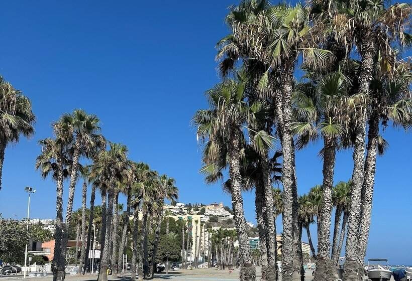 住宿加早餐 Casa Del Patio