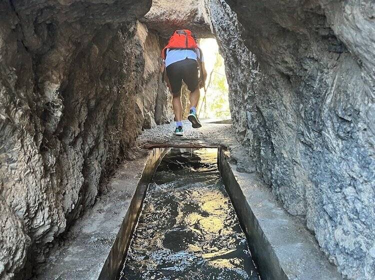 住宿加早餐 Casa Del Patio